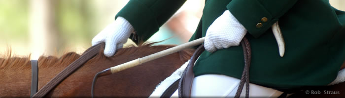 The 90th Annual Aiken Horse Show